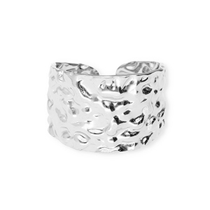 Roestvrij stalen (RVS) Stainless steel ringen Silver