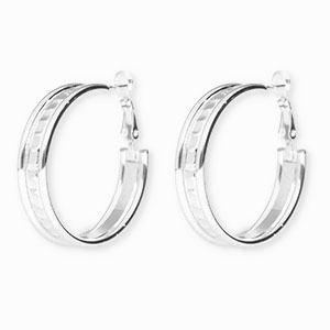 Roestvrij stalen (RVS) Stainless steel oorbellen&nbsp;/&nbsp;creolen Silver