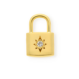 Roestvrij stalen (RVS) Stainless steel bedels met strass slot met ster Gold-crystal