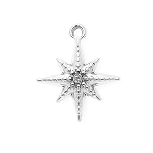 Roestvrij stalen (RVS) Stainless steel bedels met strass ster Silver-crystal