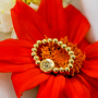 Cre&euml;er persoonlijke armbanden met Birth Flower kralen